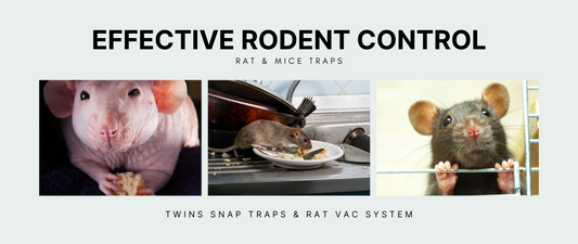 Effective rodent control examples