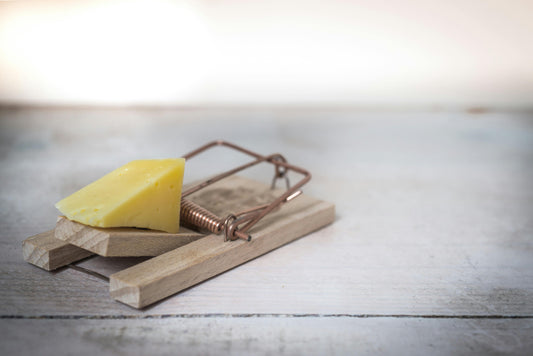 Home Depot Rat Traps Alternatives