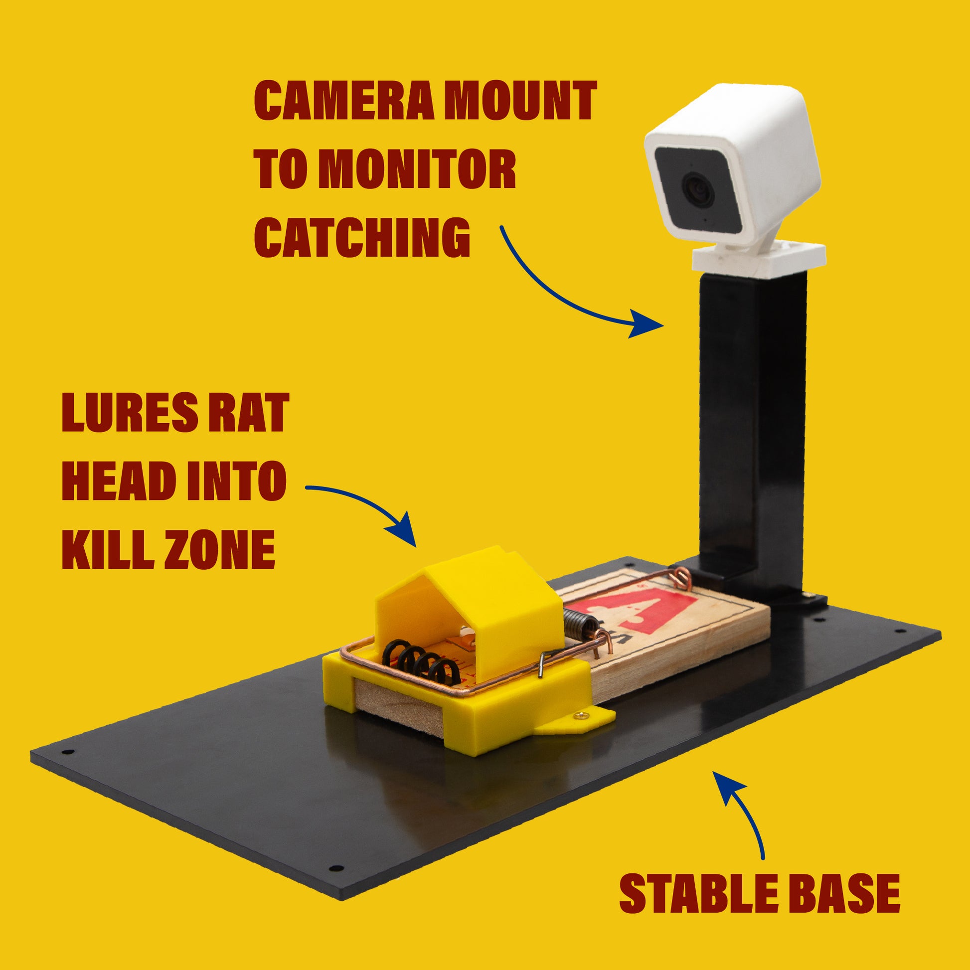 The Ultimate Rat Speed Test: Results Will Shock You! - i2u1tcw